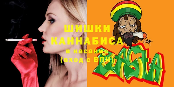 сатива Бородино
