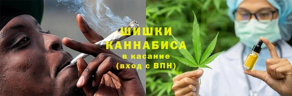 сатива Бородино
