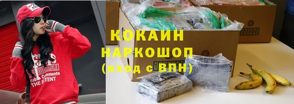сатива Бородино