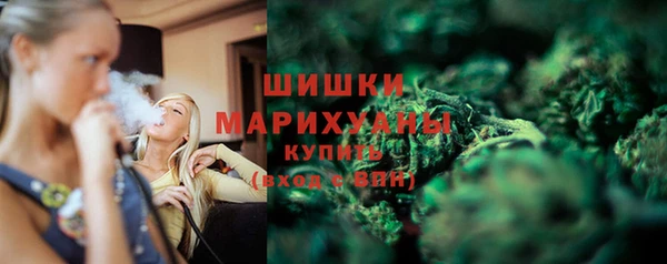сатива Бородино