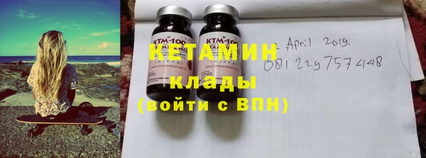 сатива Бородино