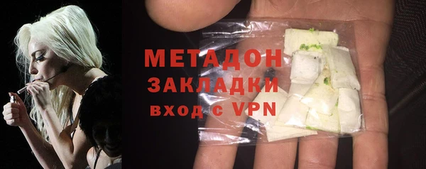 сатива Бородино