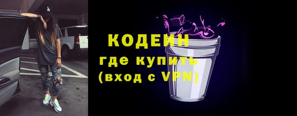 сатива Бородино