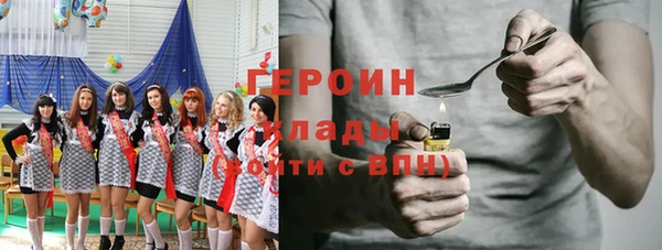 сатива Бородино